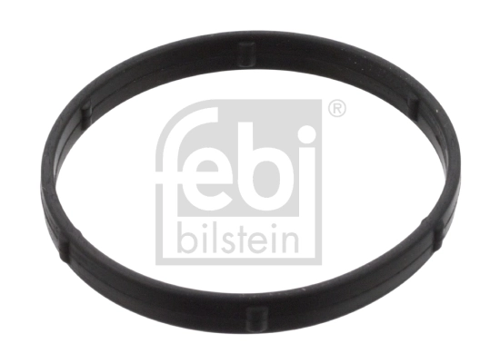 Gasket, EGR valve